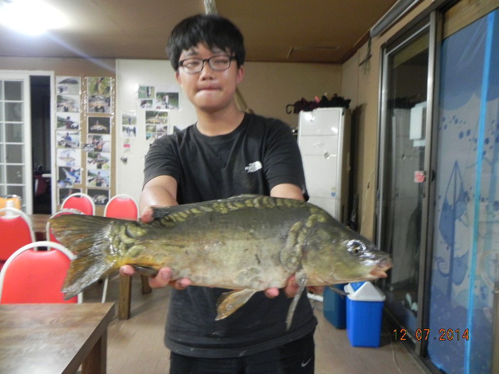DSCN7162.JPG