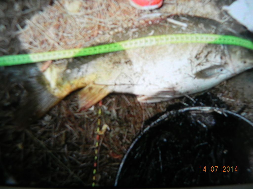 DSCN7306.JPG