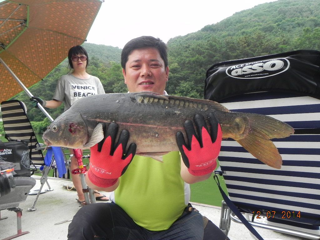 DSCN6945.JPG