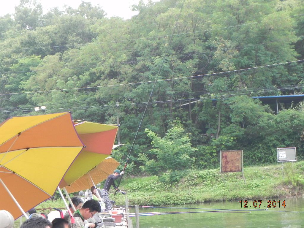 DSCN6946.JPG
