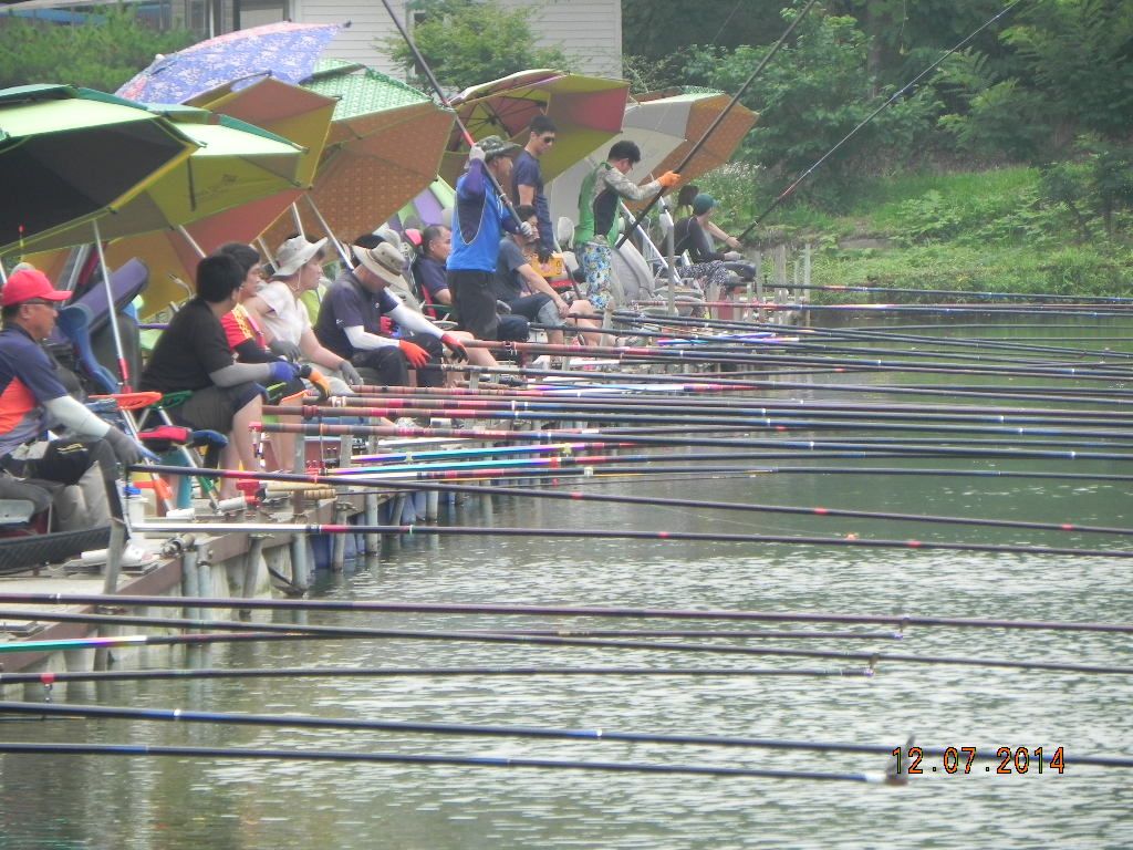 DSCN6956.JPG