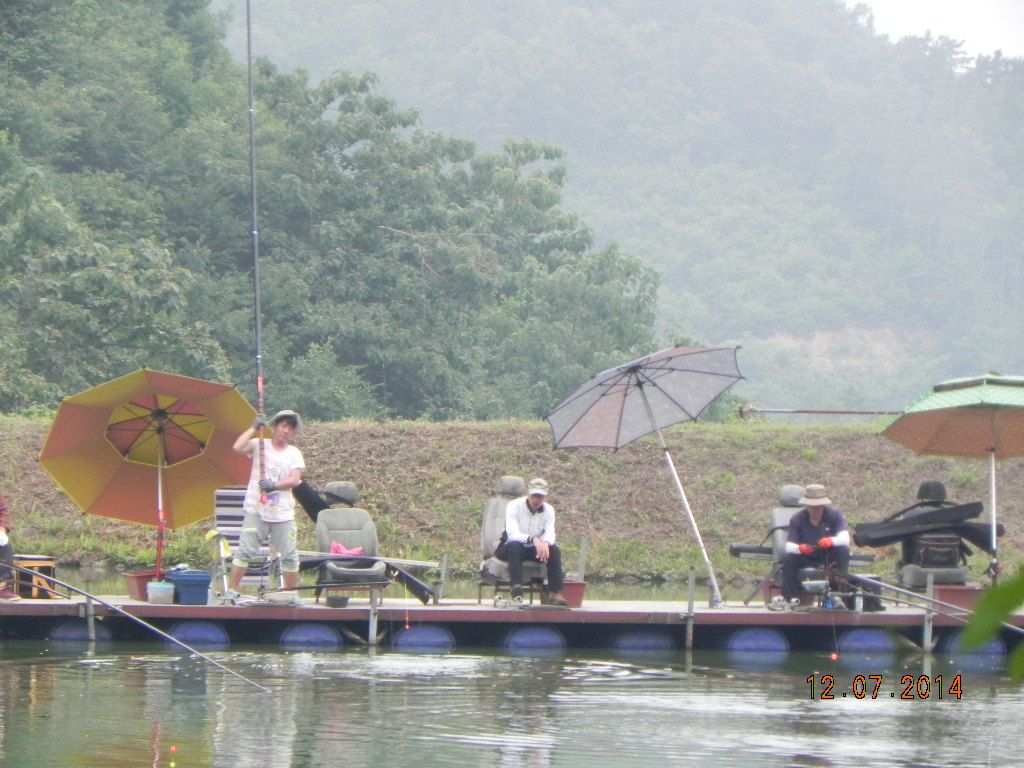 DSCN7082.JPG