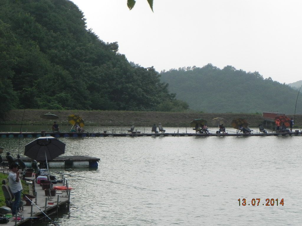 DSCN7286.JPG