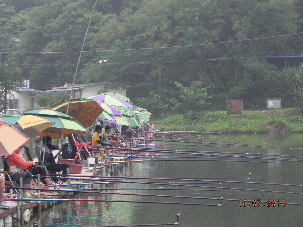 DSCN7182.JPG