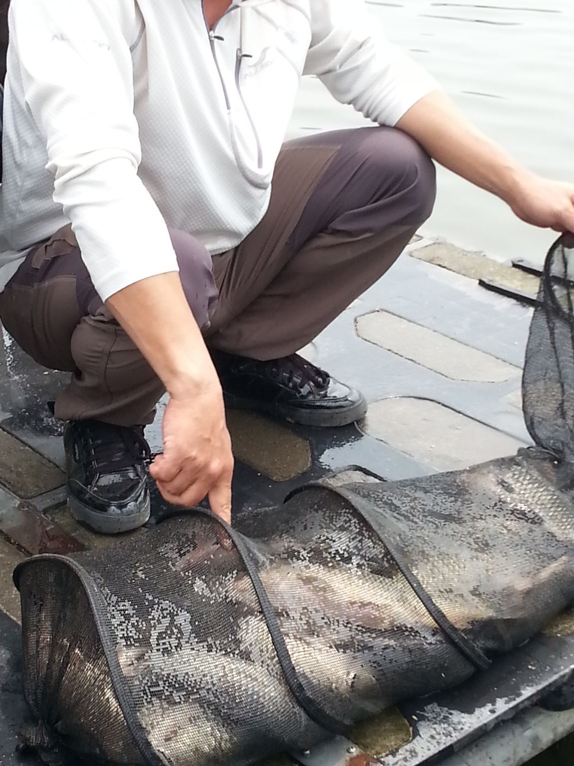 20140715_113947 (1).jpg