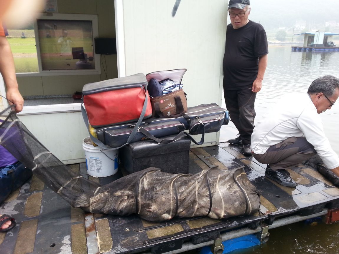 20140715_114026 (1).jpg