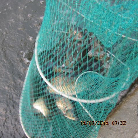 곬 008.jpg