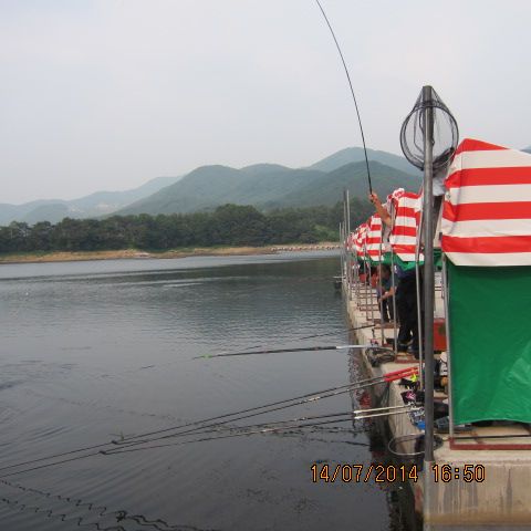 곬 016.jpg