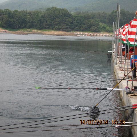 곬 017.jpg
