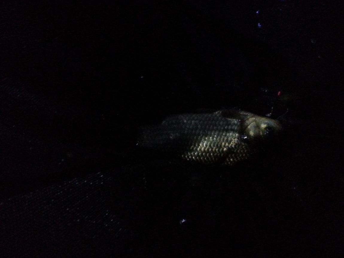 20140711_234237.jpg