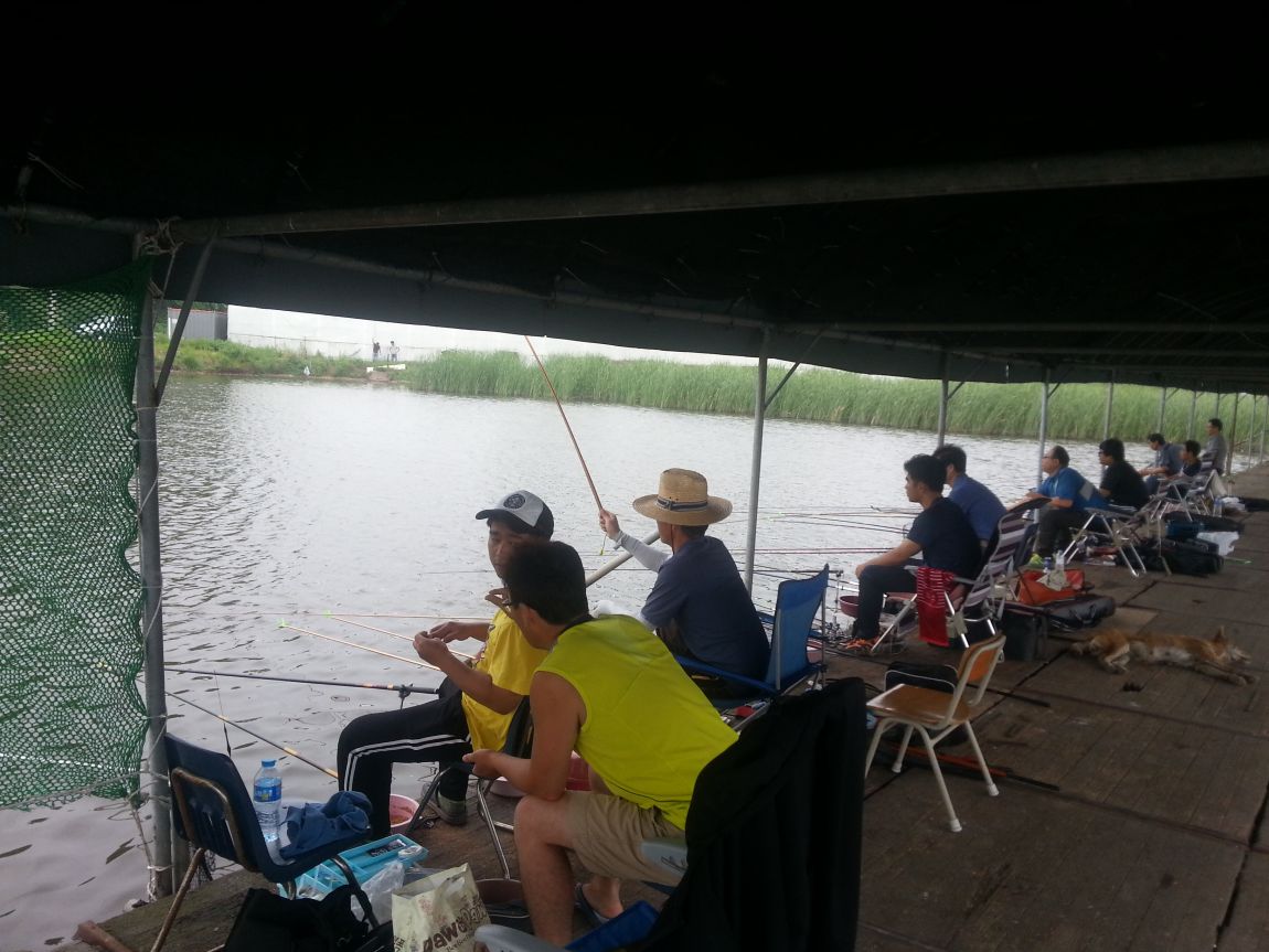 20140712_163230.jpg