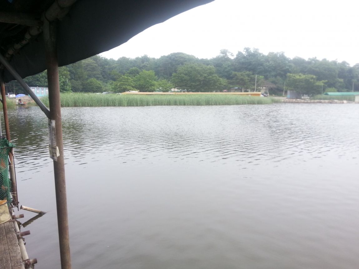 20140712_163235.jpg