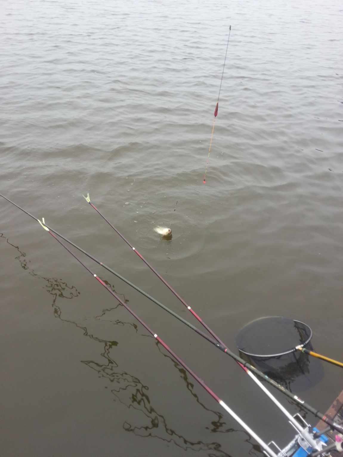 20140712_171325.jpg