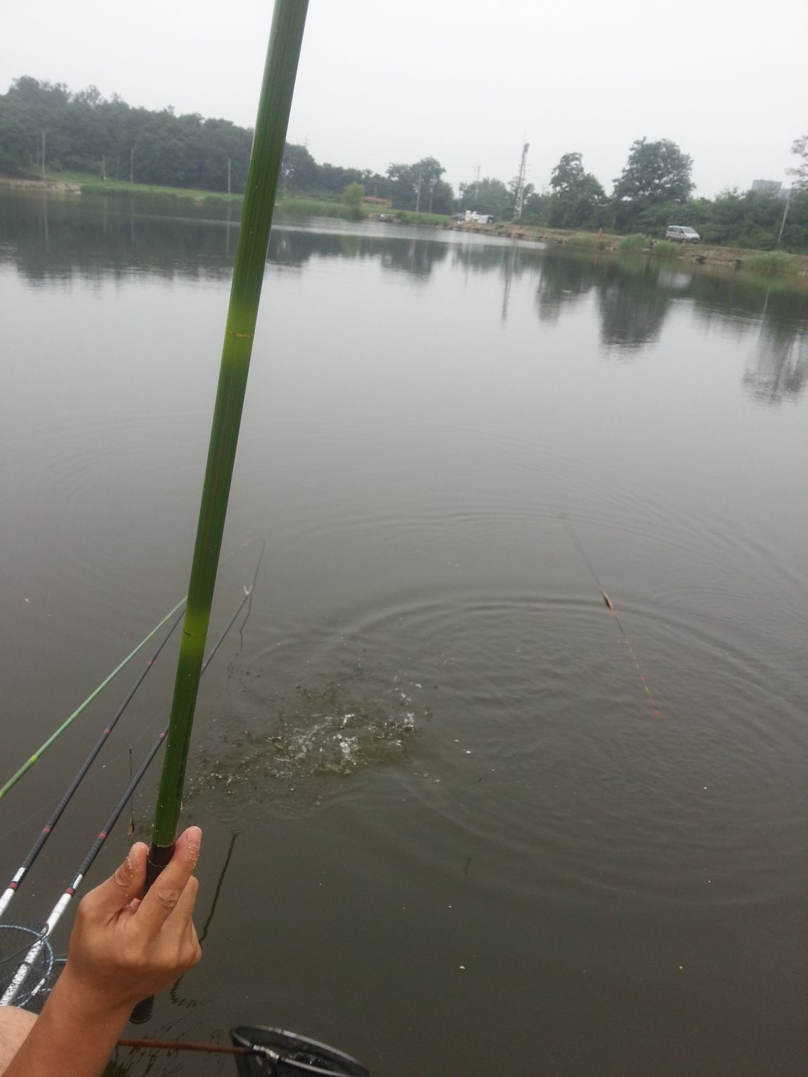 20140712_181128.jpg