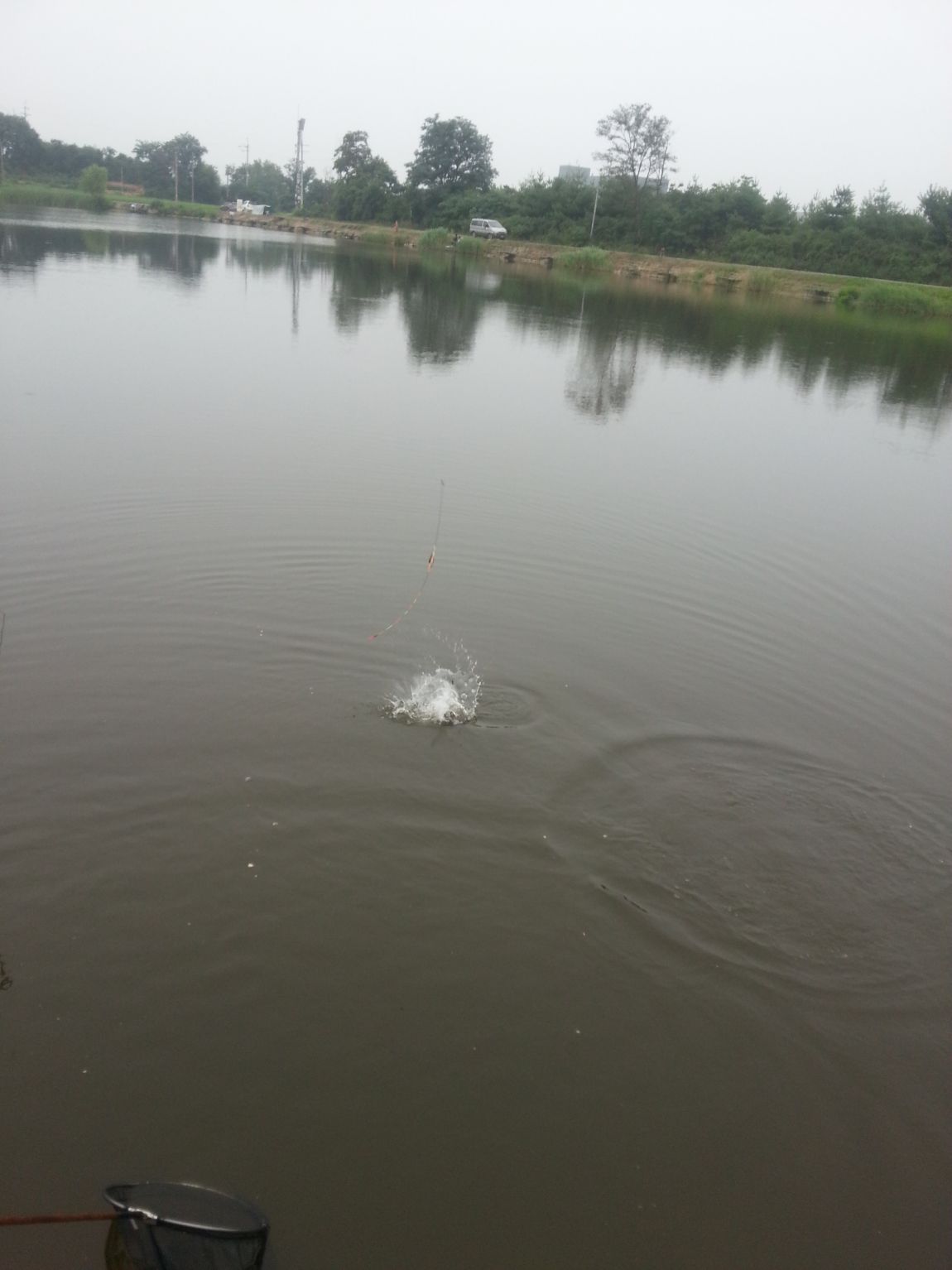 20140712_181134.jpg