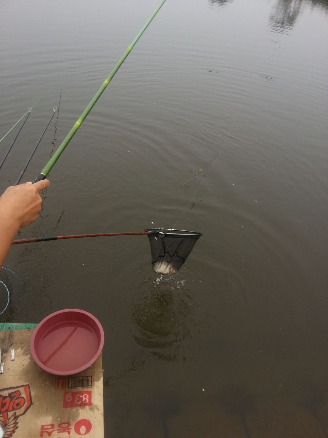 20140712_181144.jpg