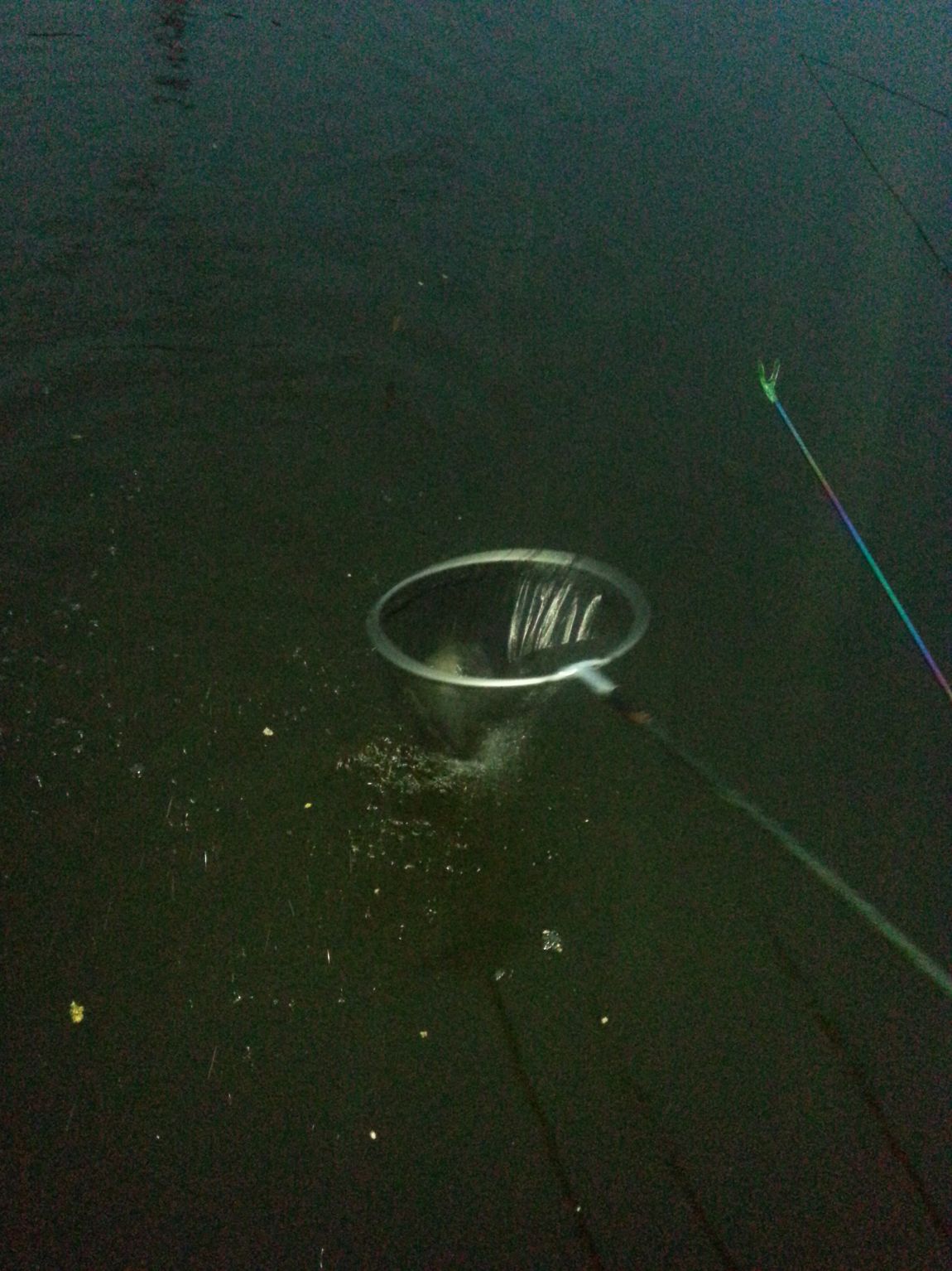 20140712_200638.jpg