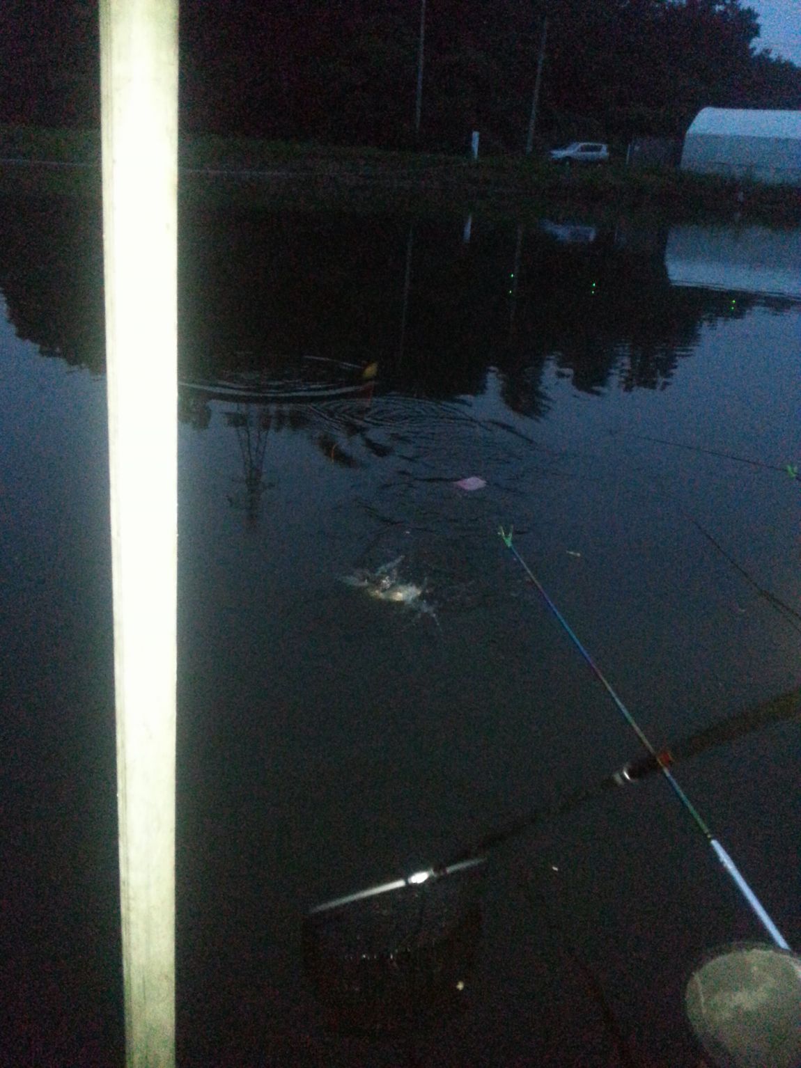 20140712_200956.jpg