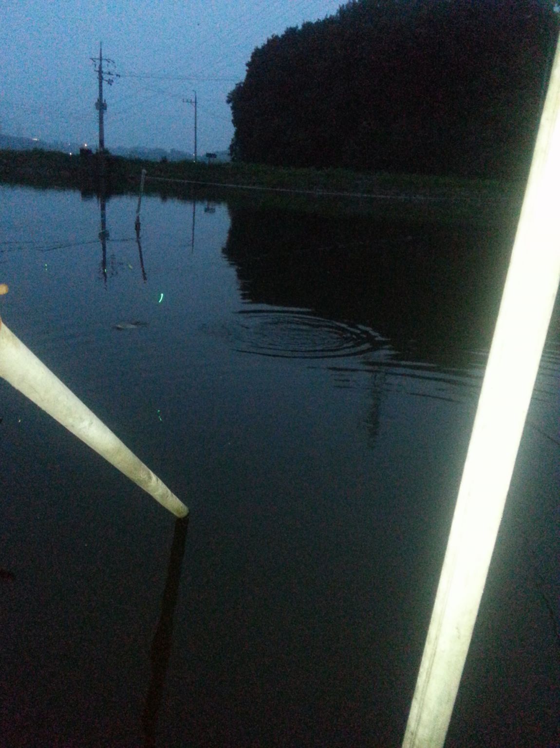 20140712_201006.jpg