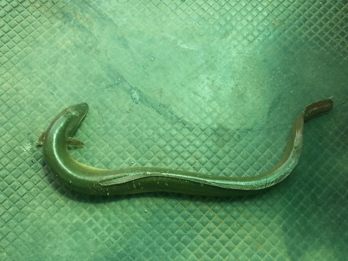 20140714_141036.jpg