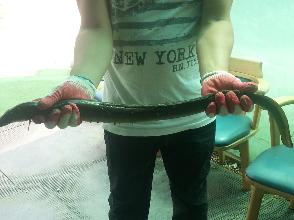 20140714_141109.jpg