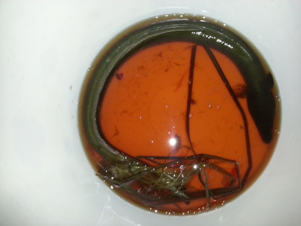 20140715_225251.jpg