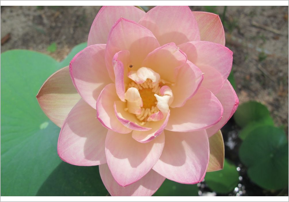 7�������� 004.jpg