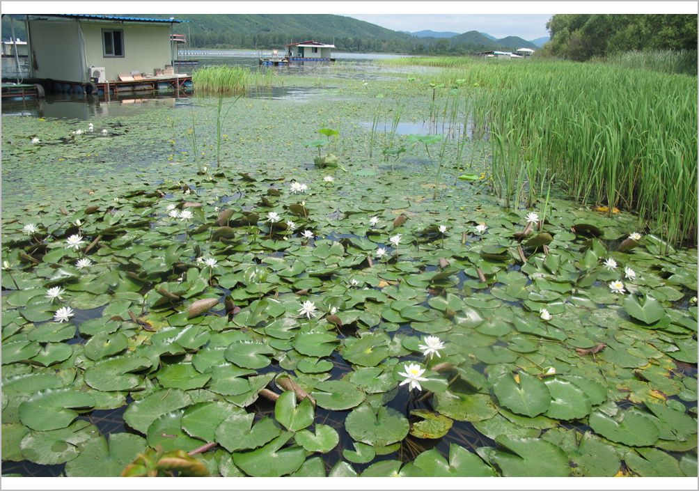 7�������� 011.jpg