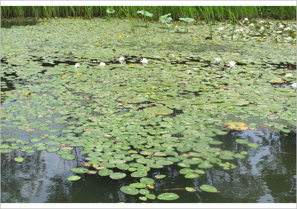 7�������� 013.jpg