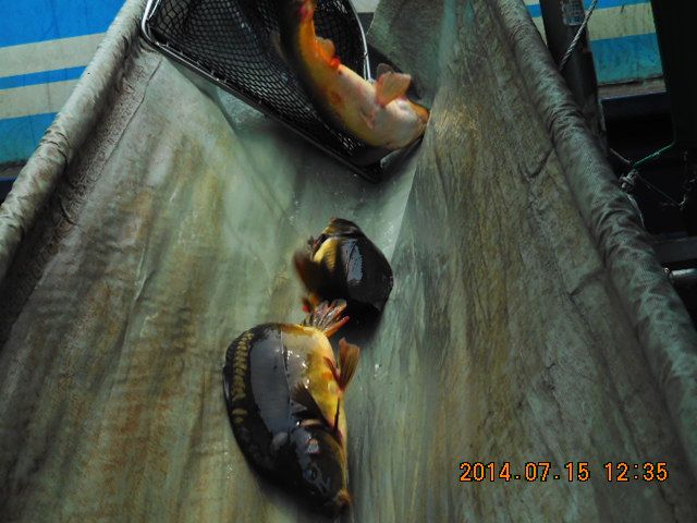 DSCN3711.JPG