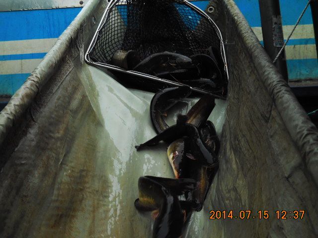 DSCN3719.JPG