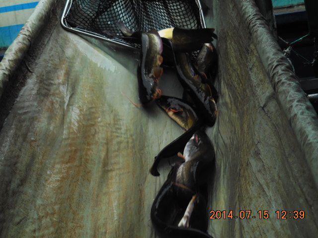 DSCN3724.JPG