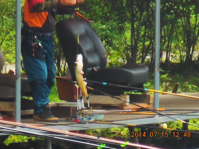 DSCN3734.JPG