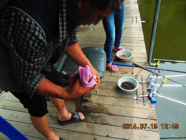 DSCN3736.JPG