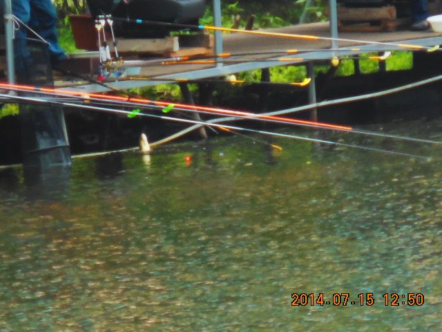 DSCN3737.JPG