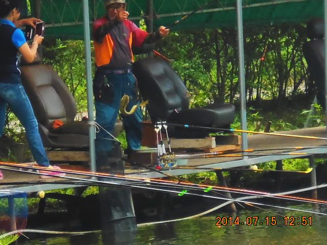 DSCN3738.JPG