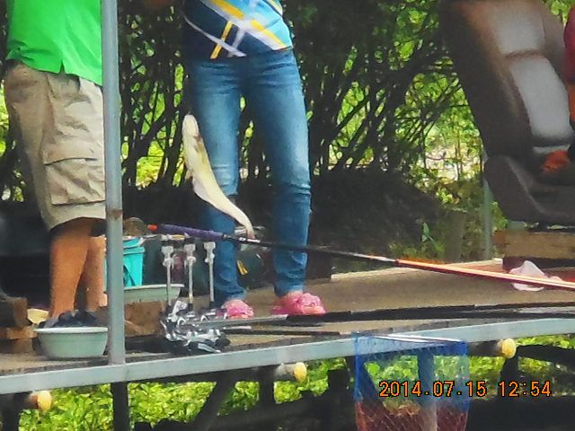 DSCN3740.JPG