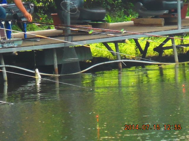 DSCN3742.JPG