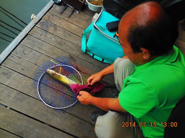 DSCN3747.JPG