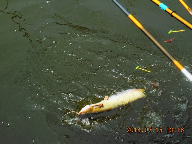 DSCN3763.JPG