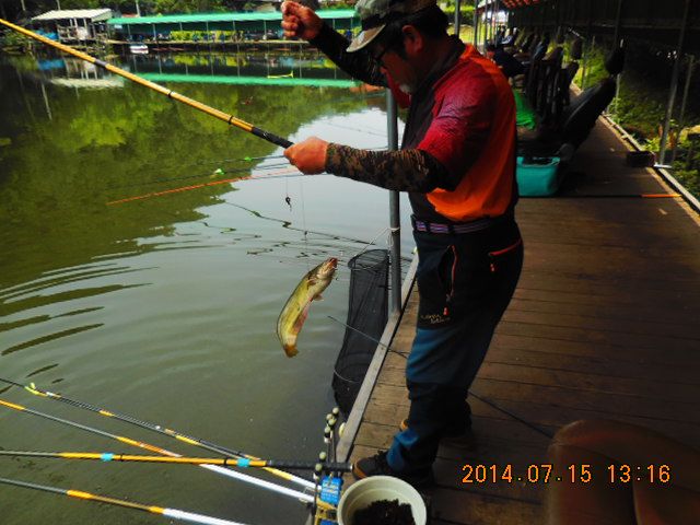 DSCN3764.JPG