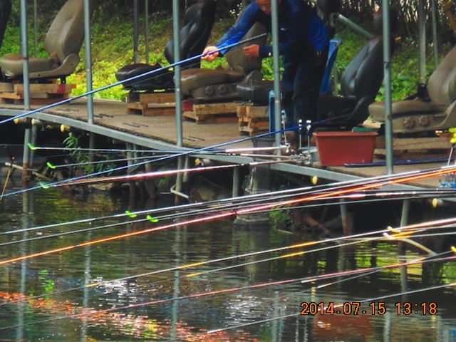 DSCN3765.JPG