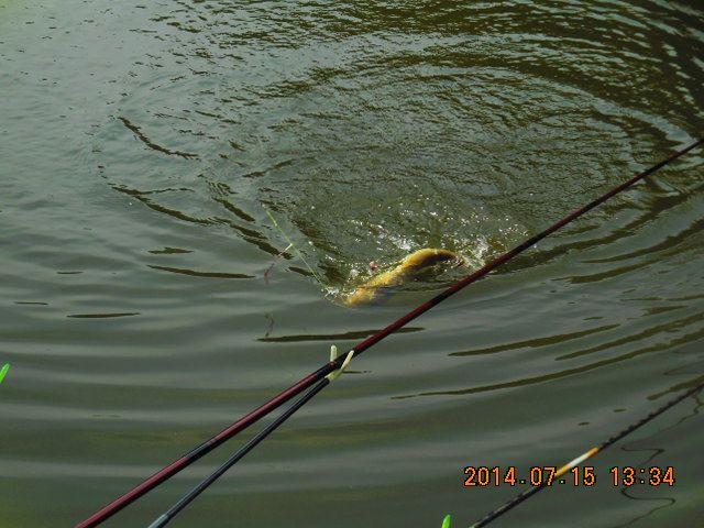 DSCN3772.JPG