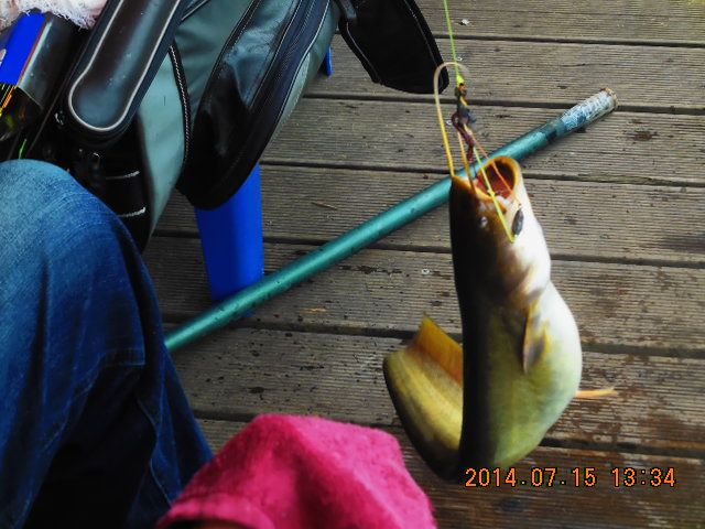 DSCN3774.JPG