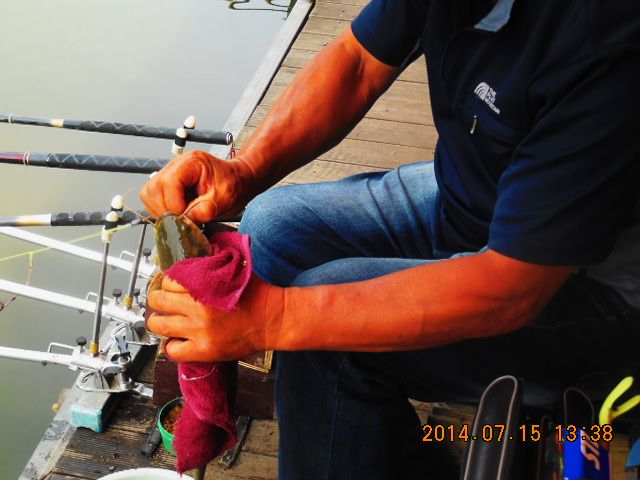DSCN3777.JPG