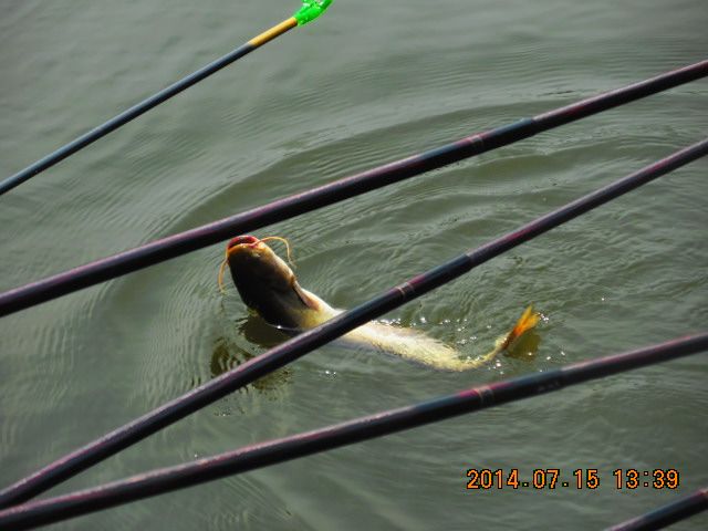 DSCN3778.JPG