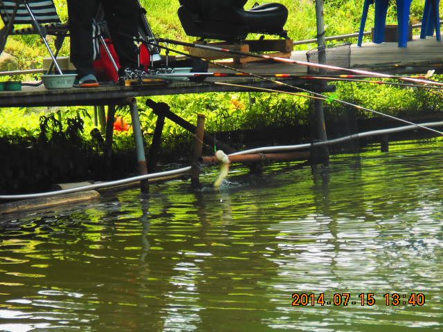 DSCN3782.JPG