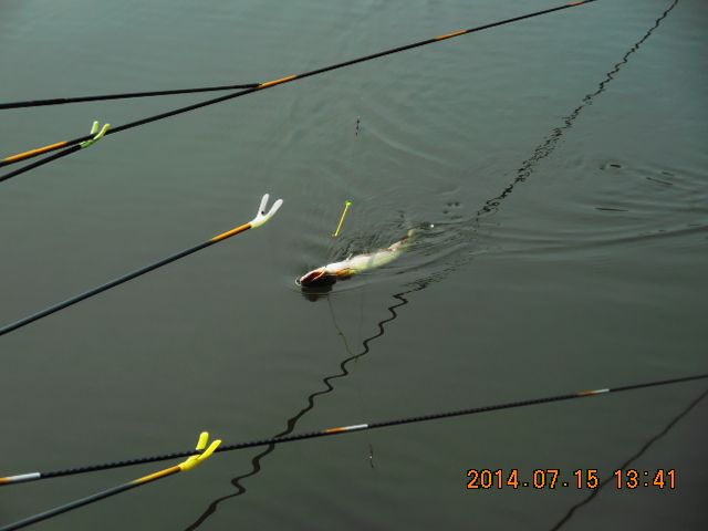 DSCN3784.JPG