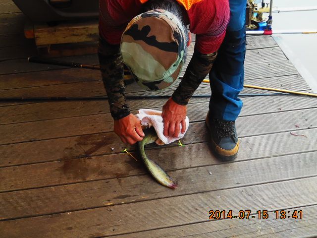DSCN3787.JPG