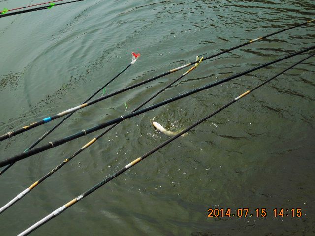 DSCN3788.JPG